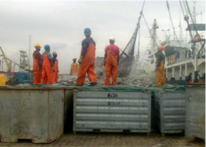 Tema pier during tuna offloading